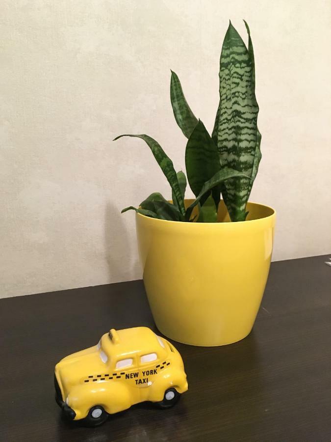 Sunflower Near Airport & Railway Station & Center City! קייב